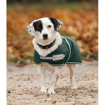 Couverture pour chien Waldhausen Comfort Line - Tannengrün - Imperméable, 200g - Couverture pour chien - Publicité Couverture pour chien Waldhausen Comfort Line - Tannengrün - Imperméable, 200g - Couverture pour chien - Publicité