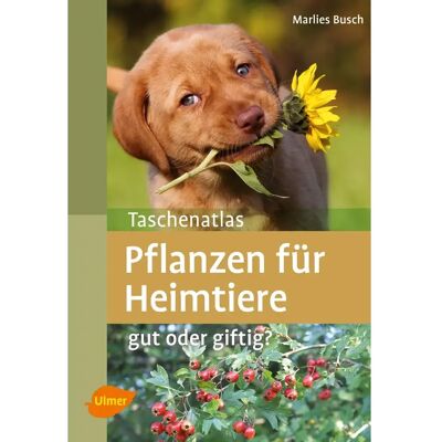 Livre Nobby Pet Pflanzen Für Heimtiere Vert - Publicité Livre Nobby Pet Pflanzen Für Heimtiere Vert - Publicité