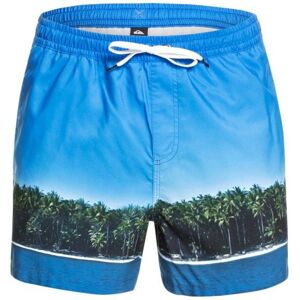 Short de bain QUIKSILVER Jetlag Dreams Volley 15 (Blithe) Homme M - Publicité Short de bain QUIKSILVER Jetlag Dreams Volley 15 (Blithe) Homme M - Publicité