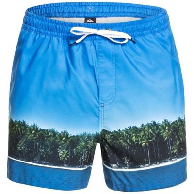 Short de bain QUIKSILVER Jetlag Dreams Volley 15 (Blithe) Homme M - Publicité Short de bain QUIKSILVER Jetlag Dreams Volley 15 (Blithe) Homme M - Publicité