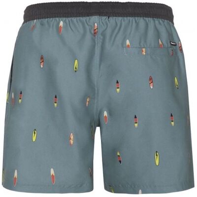 Short de bain Protest Prtfirdows (Arcticgreen) Homme XL - Publicité Short de bain Protest Prtfirdows (Arcticgreen) Homme XL - Publicité