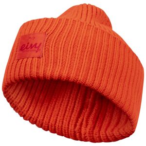 Bonnet EIVY Tonal Beanie (Red) Femme TU - Publicité Bonnet EIVY Tonal Beanie (Red) Femme TU - Publicité