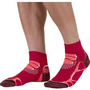 Chaussettes de randonnée MONNET TREK BASSE EXTRA LIGHT (Fushia) 37-38 - Publicité Chaussettes de randonnée MONNET TREK BASSE EXTRA LIGHT (Fushia) 37-38 - Publicité