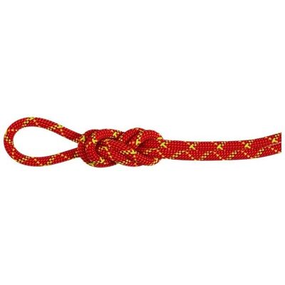 Corde MAMMUT 8.0 Alpine Core Protect Dry Rope 40m (fire-halo) 40 M - Publicité Corde MAMMUT 8.0 Alpine Core Protect Dry Rope 40m (fire-halo) 40 M - Publicité