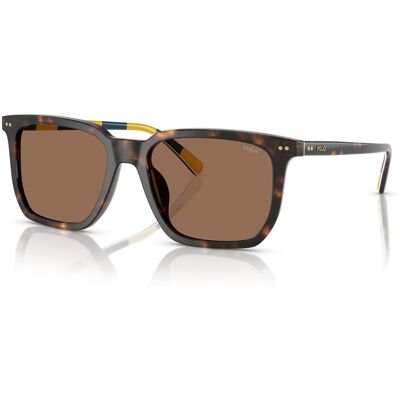 Polo Ralph Lauren Lunettes de soleil Polo PH 4224U (500373) Homme - Publicité Polo Ralph Lauren Lunettes de soleil Polo PH 4224U (500373) Homme - Publicité