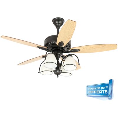 Ventilateur de plafond 112460 Zéphora avec éclairage + Kit de fixation - FARELEK - Publicité Ventilateur de plafond 112460 Zéphora avec éclairage + Kit de fixation - FARELEK - Publicité