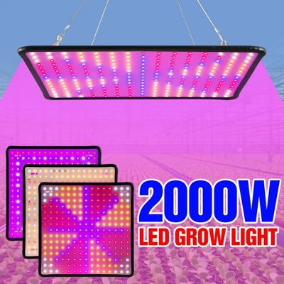 Phytolampe LED à spectre complet pour plantes, lumière de croissance de graines de fleurs d'intérieur, culture hydroponique, lampe Phyto, panneau quantique - Publicité Phytolampe LED à spectre complet pour plantes, lumière de croissance de graines de fleurs d'intérieur, culture hydroponique, lampe Phyto, panneau quantique - Publicité