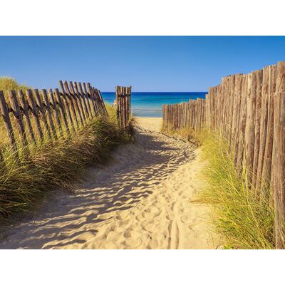 SBX Séjour inoubliable de 1 ou 2 nuits dans les Landes - Publicité SBX Séjour inoubliable de 1 ou 2 nuits dans les Landes - Publicité