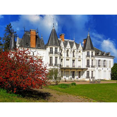 SBX 2 jours luxueux en château près de Lyon - Publicité SBX 2 jours luxueux en château près de Lyon - Publicité