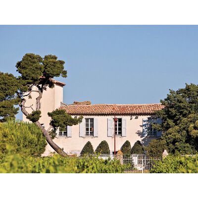 SBX Escapade en duo: 2 jours en suite avec dîner dans un château 4* près de Narbonne - Publicité SBX Escapade en duo: 2 jours en suite avec dîner dans un château 4* près de Narbonne - Publicité