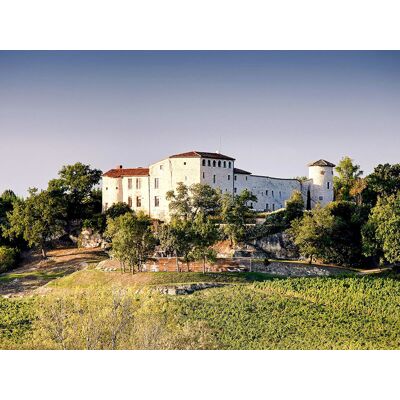 SBX Séjour de 2 jours en château 4* avec dîner et dégustation de vins près de Gaillac - Publicité SBX Séjour de 2 jours en château 4* avec dîner et dégustation de vins près de Gaillac - Publicité