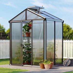 GFP 199 x 137 cm Serre de jardin, aluminium, incl. kit d'accessoires Pro 2 - (GFPV00127) - Publicité GFP 199 x 137 cm Serre de jardin, aluminium, incl. kit d'accessoires Pro 2 - (GFPV00127) - Publicité