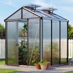 GFP 199 x 199 cm Serre de jardin, revêtement par poudre anthracite, incl. kit d'accessoires Pro 2 - (GFPV00133) - Publicité GFP 199 x 199 cm Serre de jardin, revêtement par poudre anthracite, incl. kit d'accessoires Pro 2 - (GFPV00133) - Publicité