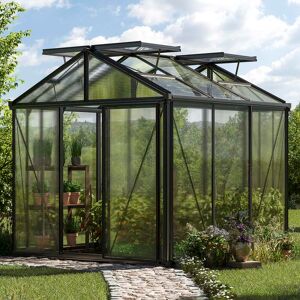 GFP 235 x 235 cm Serre de jardin, revêtement par poudre anthracite, incl. kit d'accessoires Pro 1 - (GFPV00174) - Publicité GFP 235 x 235 cm Serre de jardin, revêtement par poudre anthracite, incl. kit d'accessoires Pro 1 - (GFPV00174) - Publicité