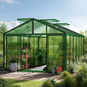 GFP 311 x 460 cm Serre de jardin, revêtement par poudre vert, incl. kit d'accessoires Pro 1 - (GFPV00270) - Publicité GFP 311 x 460 cm Serre de jardin, revêtement par poudre vert, incl. kit d'accessoires Pro 1 - (GFPV00270) - Publicité