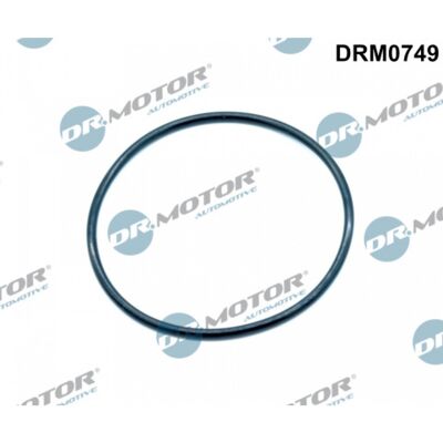 Dr.motor Automotive Drm0749 - Joint de collecteur d'admission pour VW Crafter - Publicité Dr.motor Automotive Drm0749 - Joint de collecteur d'admission pour VW Crafter - Publicité