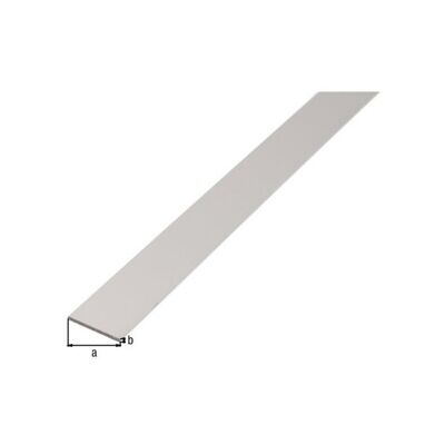 GAH Alberts Barre plate lisse, non perforée, L1000mm l15mm, e2mm Aluminium argenté anodisé (473013) - Publicité GAH Alberts Barre plate lisse, non perforée, L1000mm l15mm, e2mm Aluminium argenté anodisé (473013) - Publicité