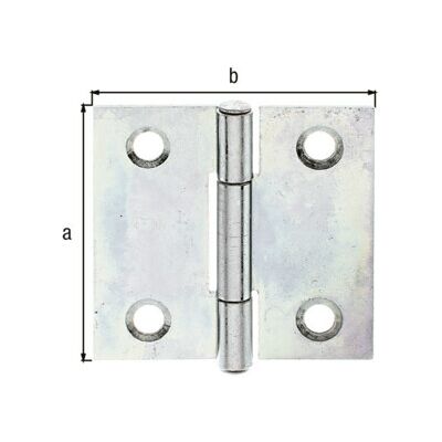 GAH Alberts Charnière de porte carrée, L31xH31mm avec axe inox affleurant (345969) - Publicité GAH Alberts Charnière de porte carrée, L31xH31mm avec axe inox affleurant (345969) - Publicité