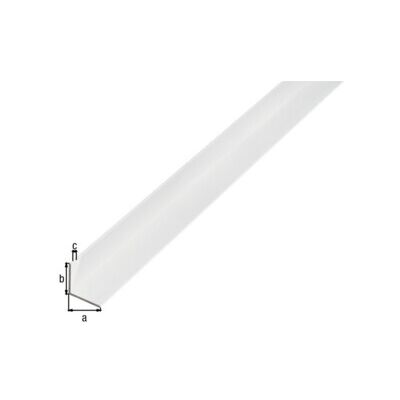 GAH Alberts Profilé d'angle égal, non perforé L1000 x l25 x H25 x e1,5 mm Aluminium F1 (473648) - Publicité GAH Alberts Profilé d'angle égal, non perforé L1000 x l25 x H25 x e1,5 mm Aluminium F1 (473648) - Publicité