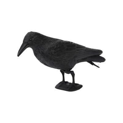 floraworld Figurine d’animal Corbeau plastique, noir 37x15 cm (010905) - Publicité floraworld Figurine d’animal Corbeau plastique, noir 37x15 cm (010905) - Publicité