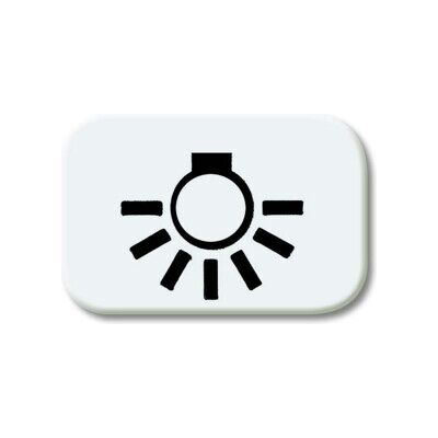 Busch-Jaeger Symbole de bouton-poussoir aws Licht 2525 LI-214 (2CKA001433A0028) - Publicité Busch-Jaeger Symbole de bouton-poussoir aws Licht 2525 LI-214 (2CKA001433A0028) - Publicité