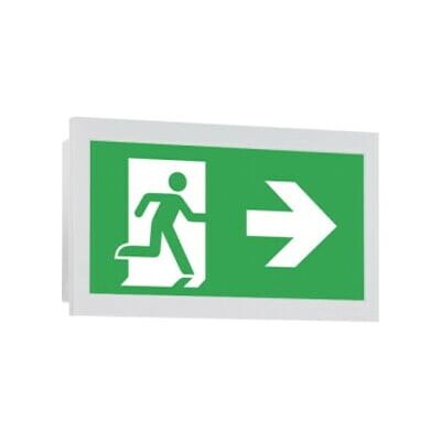 Ceag Système de secours mural pour GuideLed 10011CG-S 40071353641 ; Eaton (40071353641) - Publicité Ceag Système de secours mural pour GuideLed 10011CG-S 40071353641 ; Eaton (40071353641) - Publicité