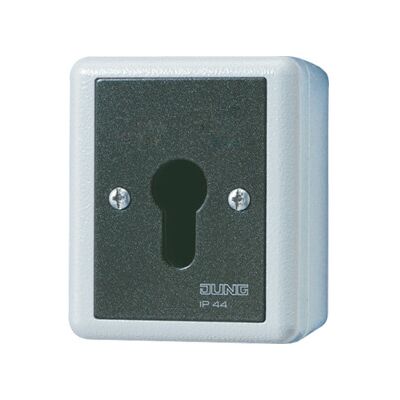 Jung Interrupteur à clé 16AX 250V 2 pôles 806.28 G (806.28G) - Publicité Jung Interrupteur à clé 16AX 250V 2 pôles 806.28 G (806.28G) - Publicité