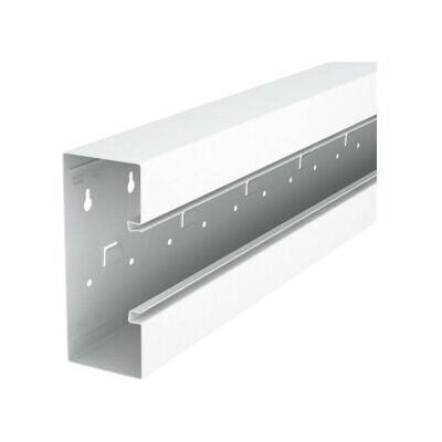 Goulotte de câbles OBO Bettermann - 2000mm, 170x70mm, Acier, Blanc - Rectangulaire - Publicité Goulotte de câbles OBO Bettermann - 2000mm, 170x70mm, Acier, Blanc - Rectangulaire - Publicité