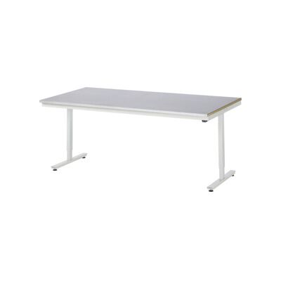 RAU Bureau réglable électrique - Surface en acier - 720-1120mm - 2000x1000mm - Publicité RAU Bureau réglable électrique - Surface en acier - 720-1120mm - 2000x1000mm - Publicité