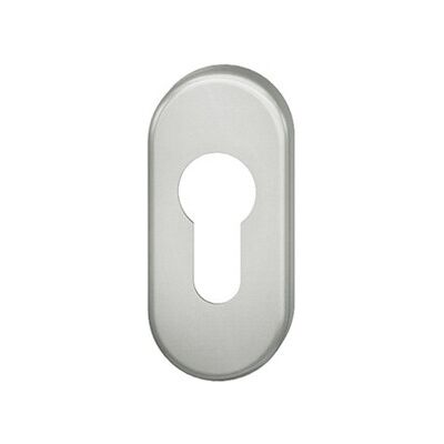 FSB Rosace de Porte Ovale en Acier Inoxydable - Portes Extérieures/Encadrements - Publicité FSB Rosace de Porte Ovale en Acier Inoxydable - Portes Extérieures/Encadrements - Publicité