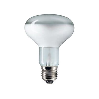 Scharnberger+Hasenbein Lampe réflecteur R80 80 x 110 mm 41574 ; S+H (41574) - Publicité Scharnberger+Hasenbein Lampe réflecteur R80 80 x 110 mm 41574 ; S+H (41574) - Publicité