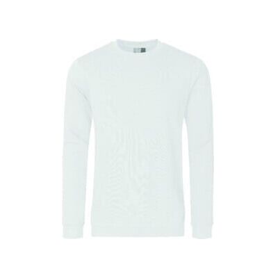 Sweatshirt homme 80/20 Gr.M royal PROMODORO (2199F-M-VB) - Publicité Sweatshirt homme 80/20 Gr.M royal PROMODORO (2199F-M-VB) - Publicité