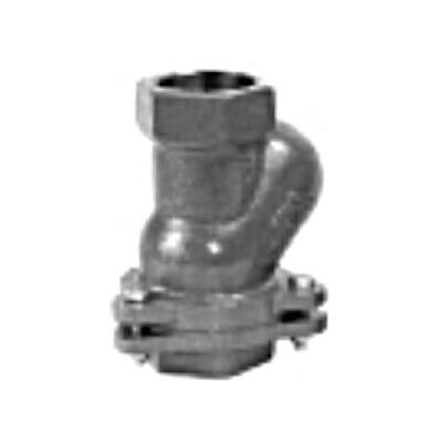 Grundfos Clapet anti-retour à bille Rp 2 IG, pour pompes à eaux usées (96002002) - Publicité Grundfos Clapet anti-retour à bille Rp 2 IG, pour pompes à eaux usées (96002002) - Publicité