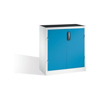 C + P Möbelsysteme Armoire d'appoint C+P pour charges lourdes avec portes battantes, 1 tablette intérieure, H1000xL930xP500mm Façade bleu clair Corps gris clair ; C + P (8821-052 S10265) - Publicité C + P Möbelsysteme Armoire d'appoint C+P pour charges lourdes avec portes battantes, 1 tablette intérieure, H1000xL930xP500mm Façade bleu clair Corps gris clair ; C + P (8821-052 S10265) - Publicité