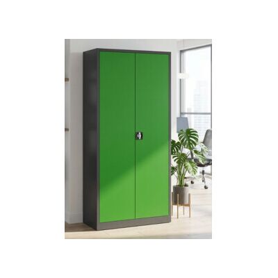 STIER Armoire universelle Basic 92 x 42 cm 4 étagères anthracite/vert (907570) - Publicité STIER Armoire universelle Basic 92 x 42 cm 4 étagères anthracite/vert (907570) - Publicité