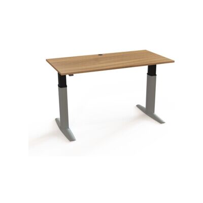 STIER Bureau électrique réglable en hauteur 501-23 160 × 80 cm noyer/argent mélaminé 68-120 cm (907751) - Publicité STIER Bureau électrique réglable en hauteur 501-23 160 × 80 cm noyer/argent mélaminé 68-120 cm (907751) - Publicité