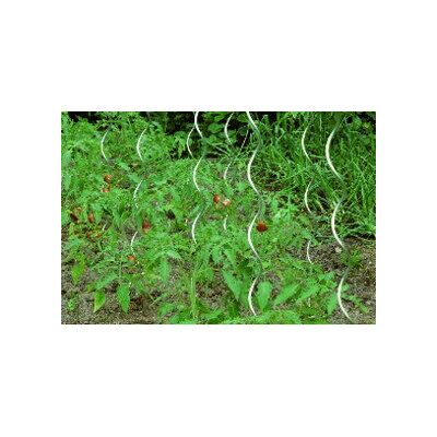 Floraworld Tuteur de tomate - Zincé, 150cm, Ø 6,8mm, Par 10 - Publicité Floraworld Tuteur de tomate - Zincé, 150cm, Ø 6,8mm, Par 10 - Publicité