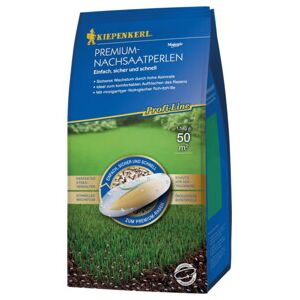 Kiepenkerl Modèle - Graines de Gazon Premium 1.5kg - Semillas de césped - Publicité Kiepenkerl Modèle - Graines de Gazon Premium 1.5kg - Semillas de césped - Publicité