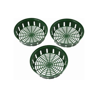 floraworld Ensemble de 3 coupelles rondes pour bulbes de fleurs (10967) - Publicité floraworld Ensemble de 3 coupelles rondes pour bulbes de fleurs (10967) - Publicité