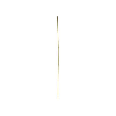 Supports pour plantes Floraworld - Ø 8-10mm 120cm Lot de 10 - Publicité Supports pour plantes Floraworld - Ø 8-10mm 120cm Lot de 10 - Publicité