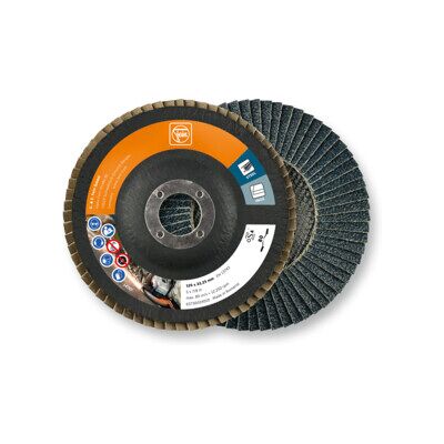 Fein Disque à lamelles, Ø 125 mm, Quantité 10 Pce (63730024010 63730024010) - Publicité Fein Disque à lamelles, Ø 125 mm, Quantité 10 Pce (63730024010 63730024010) - Publicité