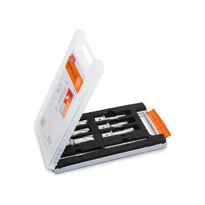 Fein Set d’accessoires Best of cutters Weldon 3/4 in (63127276020 63127276020) - Publicité Fein Set d’accessoires Best of cutters Weldon 3/4 in (63127276020 63127276020) - Publicité