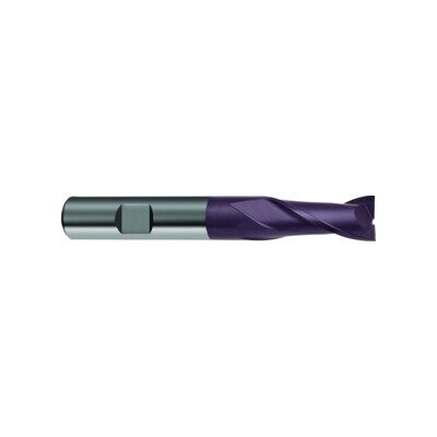 GÜHRING Fraise cylindrique SL DIN6527 VHM FIRE Z2 Tige HB 8 mm (9055300080000) - Publicité GÜHRING Fraise cylindrique SL DIN6527 VHM FIRE Z2 Tige HB 8 mm (9055300080000) - Publicité