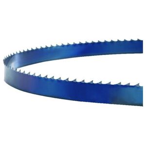 holzstar Lame de scie 1575x10x0,5mm 4 dents ; Stürmer (5160012) - Publicité holzstar Lame de scie 1575x10x0,5mm 4 dents ; Stürmer (5160012) - Publicité