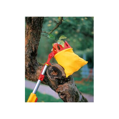 WOLF-Garten multi-star® Cueilleur de fruits RG-M (71ACA008650) - Publicité WOLF-Garten multi-star® Cueilleur de fruits RG-M (71ACA008650) - Publicité
