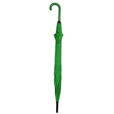 Parapluie personnalisable à ouverture automatique Milford Vert fougère TAILLE UNIQUE ADULTE - Publicité Parapluie personnalisable à ouverture automatique Milford Vert fougère TAILLE UNIQUE ADULTE - Publicité