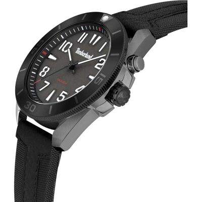 Montre Timberland Warrick - Tdwgp2201601 Homme - Publicité Montre Timberland Warrick - Tdwgp2201601 Homme - Publicité