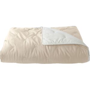 HomeMaison Jeté de lit réversible en velours et microfibre - Publicité HomeMaison Jeté de lit réversible en velours et microfibre - Publicité