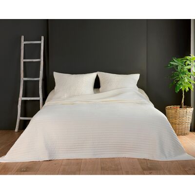 HomeMaison Couvre lit et taie matelassés - Publicité HomeMaison Couvre lit et taie matelassés - Publicité