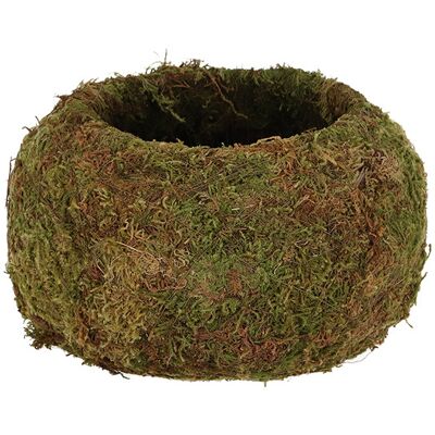 Esschert Design Kokedama boule de mousse 9 cm - Publicité Esschert Design Kokedama boule de mousse 9 cm - Publicité